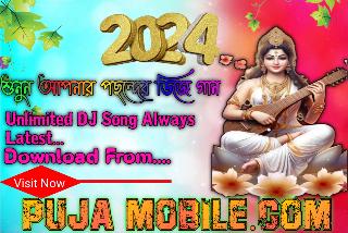 01 Joy Devi Saraswati Saroda DJ RP Remix 2024